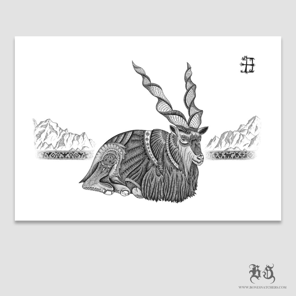 Zīmējuma prints "Markhor"