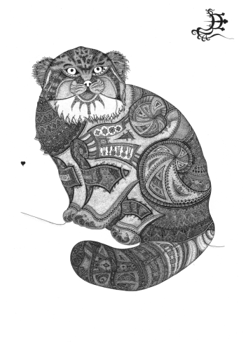 09 Generalcat