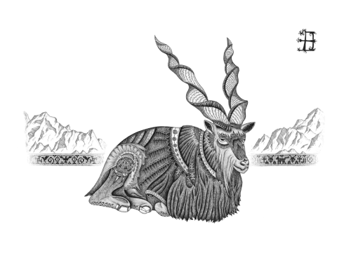 20 Markhor