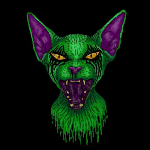 Digital 003 - Kitty