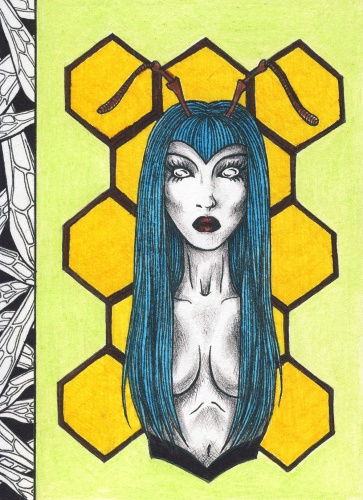 Drawing 005 -