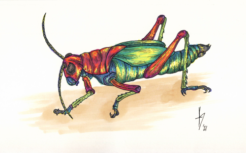 Drawing 026 -