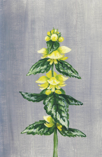 Painting 007 -