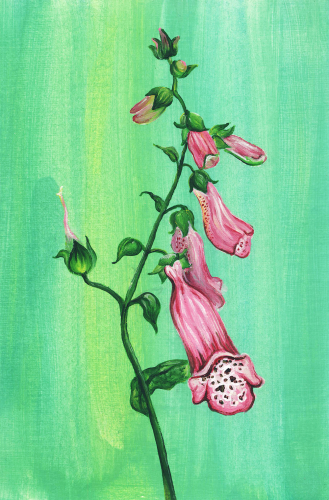 Painting 006 -